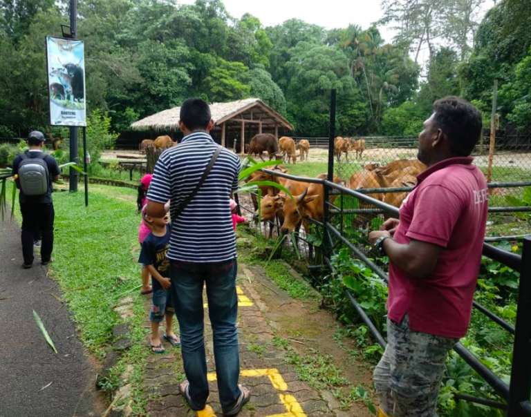 Zoo Melaka Tawar Promosi Harga Tiket Serendah RM5, Ada ...