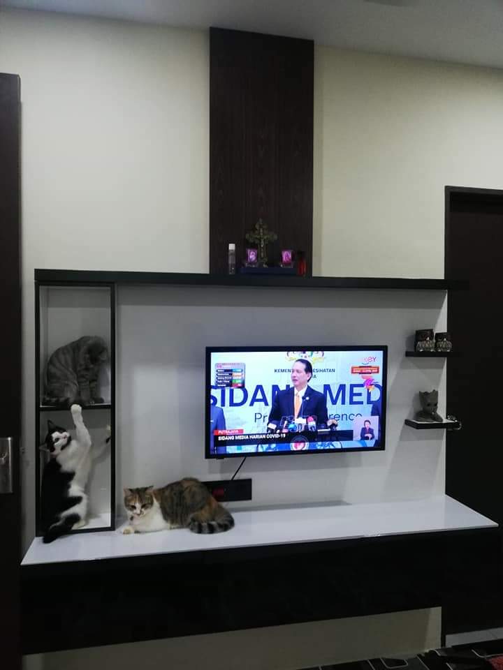 Diy kabinet tv