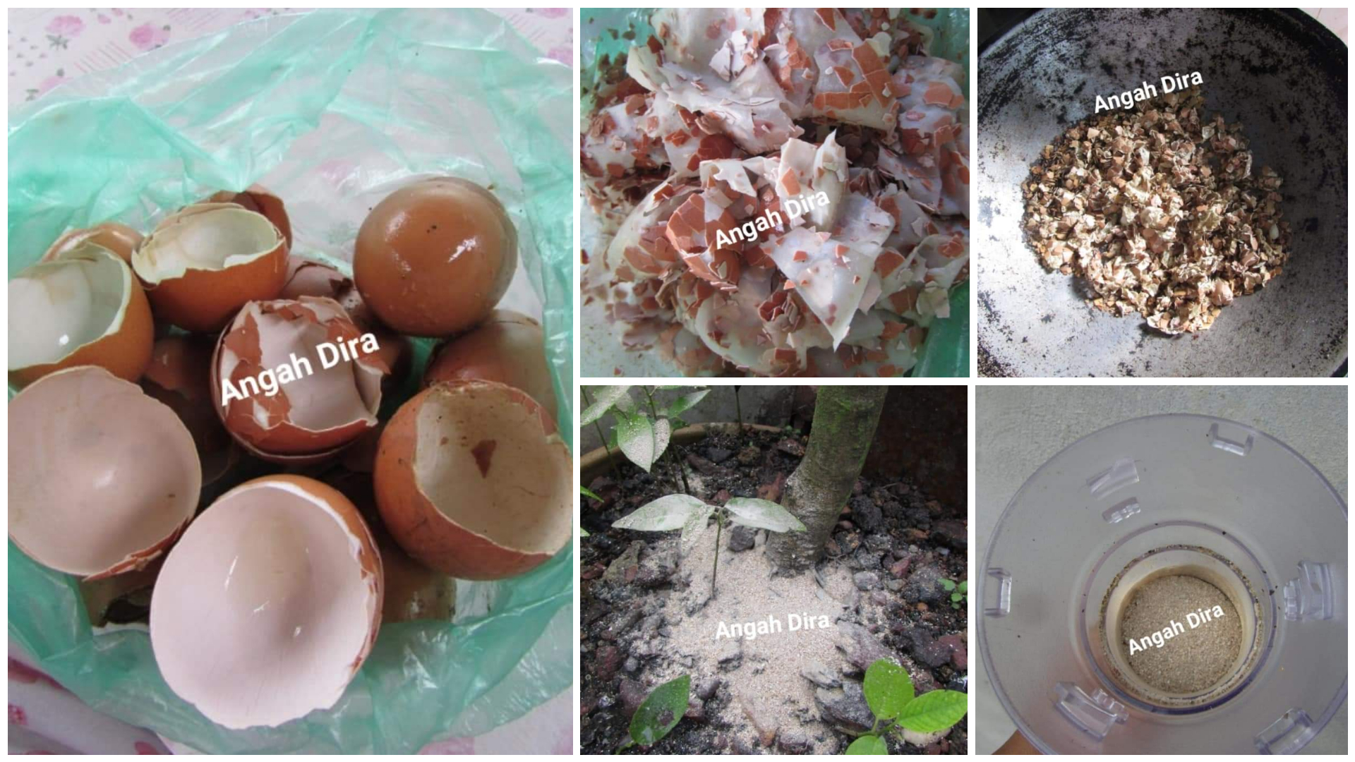 Tak Payah Bazir Duit, Ini Cara Buat Baja Kulit Telur (Dan 5 Lagi Kelebihannya Untuk Tanaman)