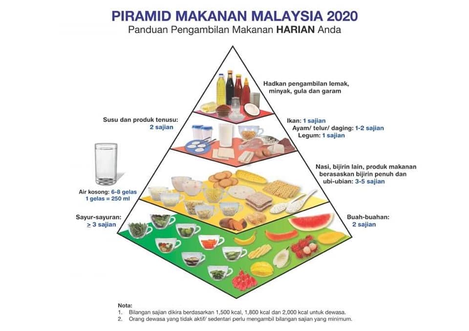 piramid makanan baru kkm