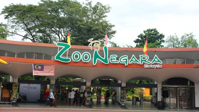 Harga tiket zoo negara terkini 2021