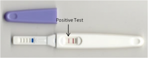Alat ujian kehamilan positif