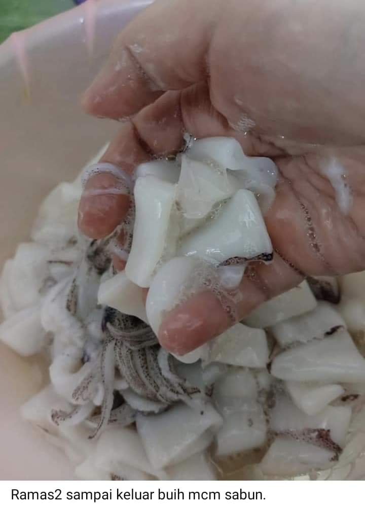 Cara cuci sotong