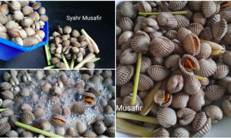 cara rebus kerang