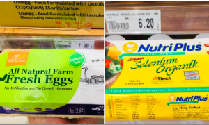 cara pilih telur