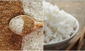 nasi atau gandum?