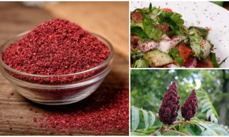 khasiat sumac