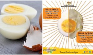 khasiat telur rebus