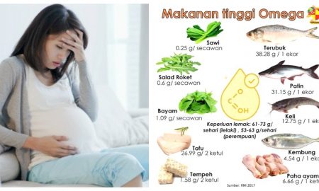 makanan tinggi omega 3