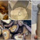 mushroom seasoning