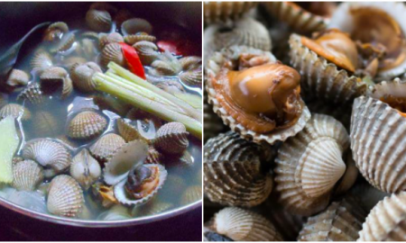 kerang