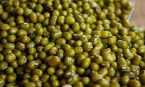 tips melembutkan kacang hijau