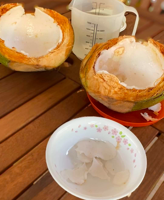 resepi kelapa jelly