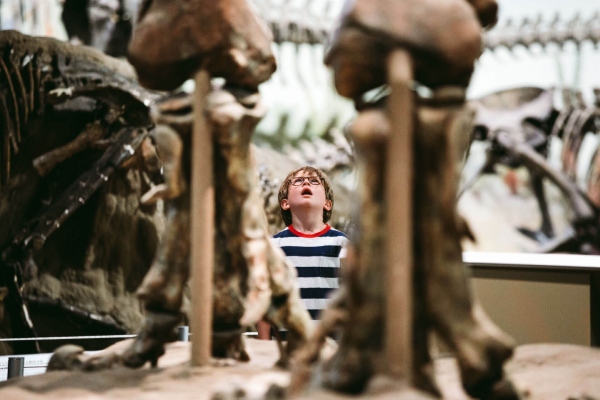 kanak-kanak meminati dinosaur