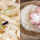 cara hilangkan kutu beras