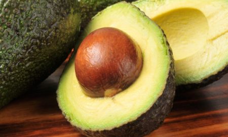 buah avocado