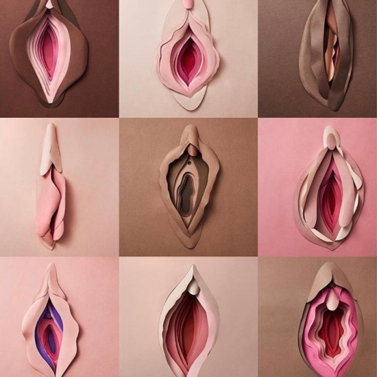 warna vagina