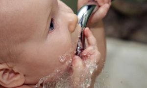 bayi minum air masak
