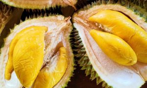 tips memilih buah durian