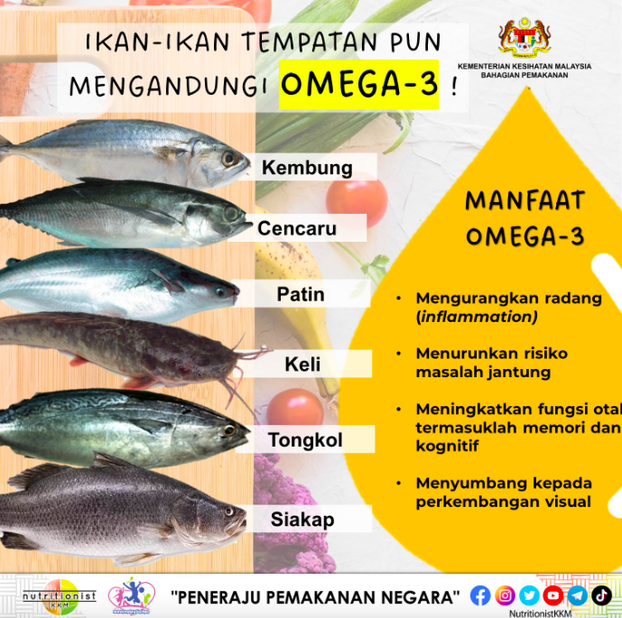 ikan tinggi omega 3
