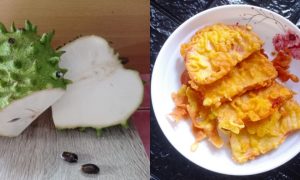 durian belanda