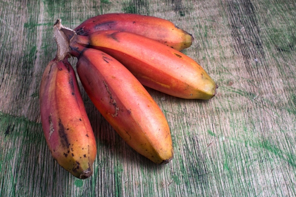 pisang merah