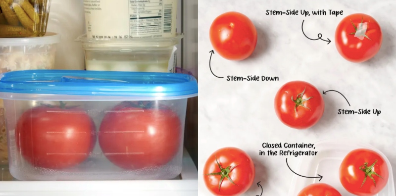 simpan tomato tahan lama