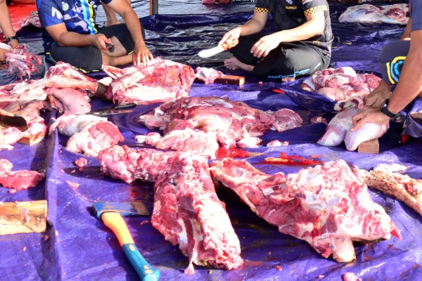 daging korban