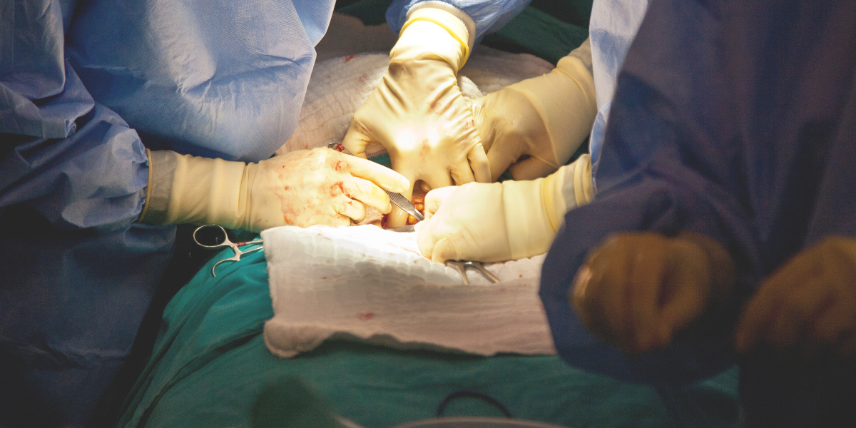 BERSALIN CZER