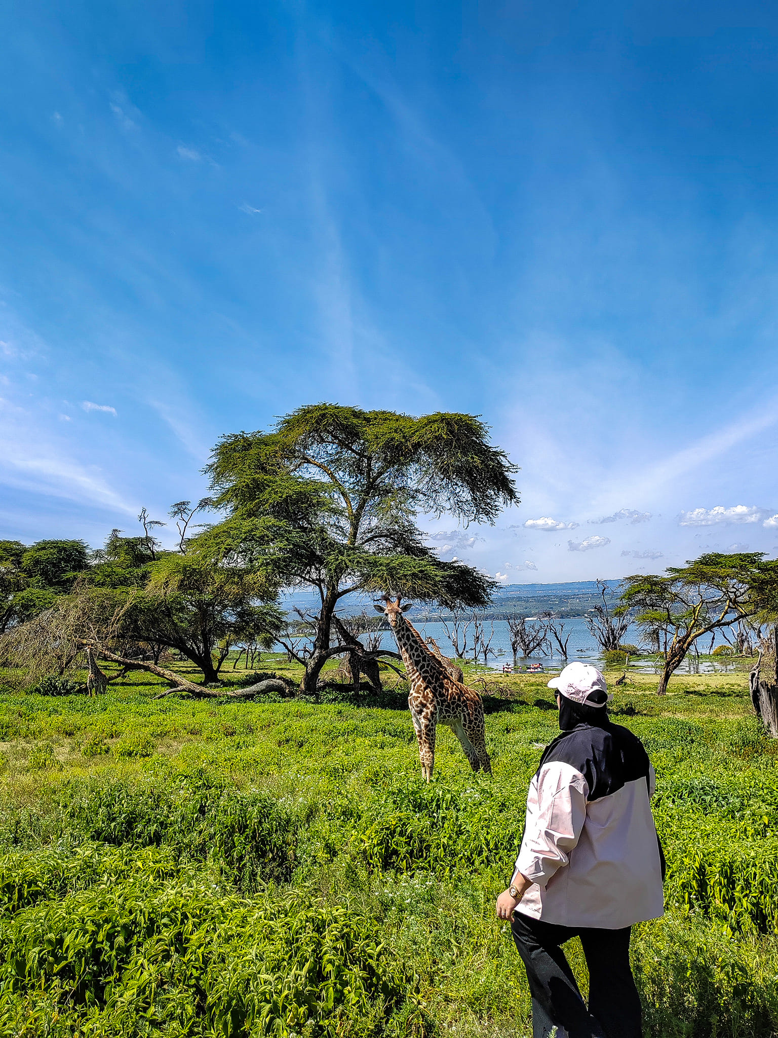 ITINERARI KE AFRIKA