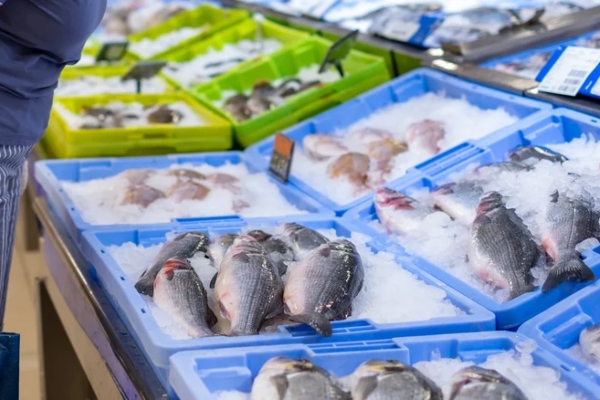 cara pilih ikan segar