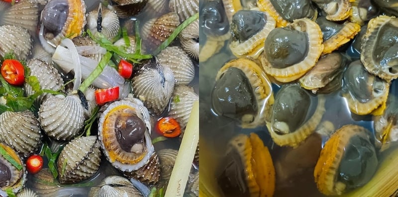 rebus kerang