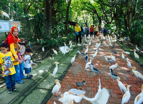 zoo negara