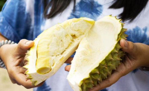 makan durian