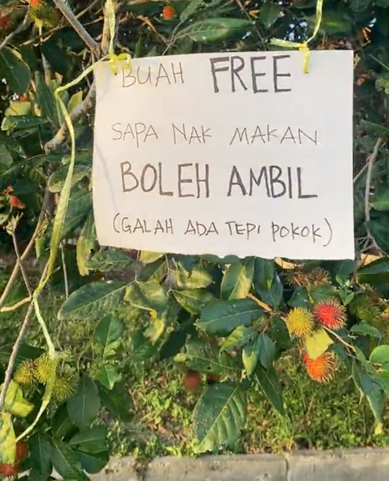 BUAH RAMBUTAN