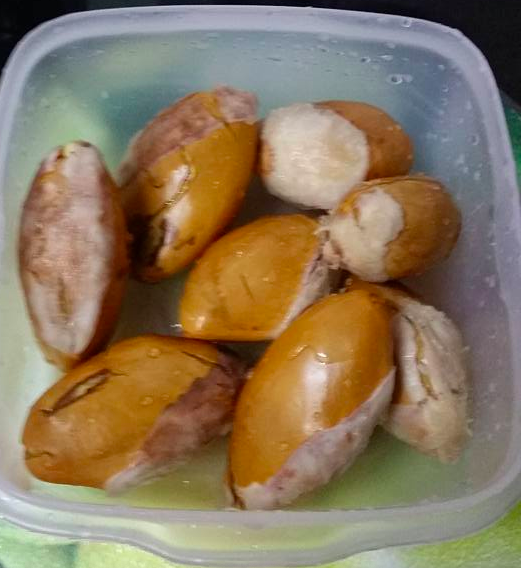 biji durian