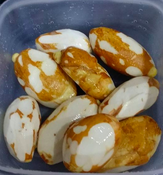 biji durian