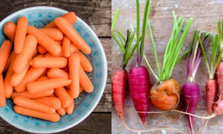 baby carrot