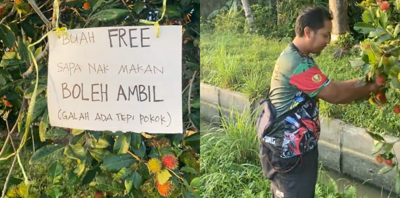 BUAH RAMBUTAN
