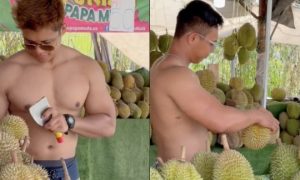 jual durian