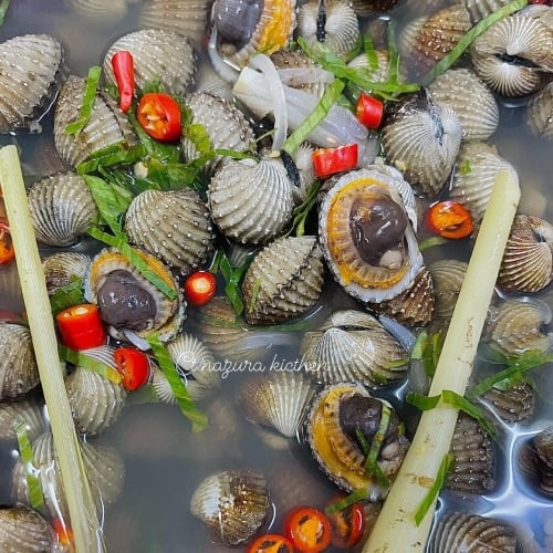 rebus kerang