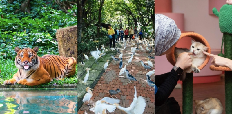 zoo negara