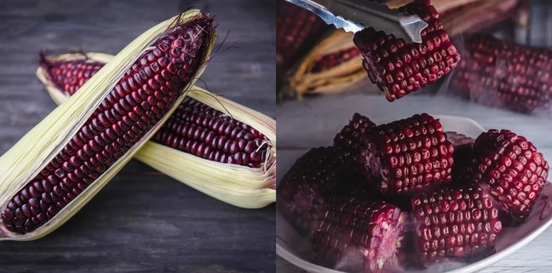jagung ungu