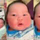 melahirkan bayi