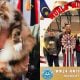 kucing jalanan