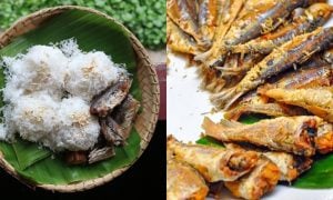 pulut gaul nyor