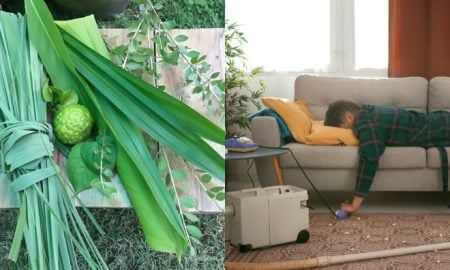 daun serai wangi