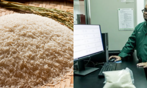 BERAS PUTIH TEMPATAN
