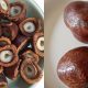 buah zuriat