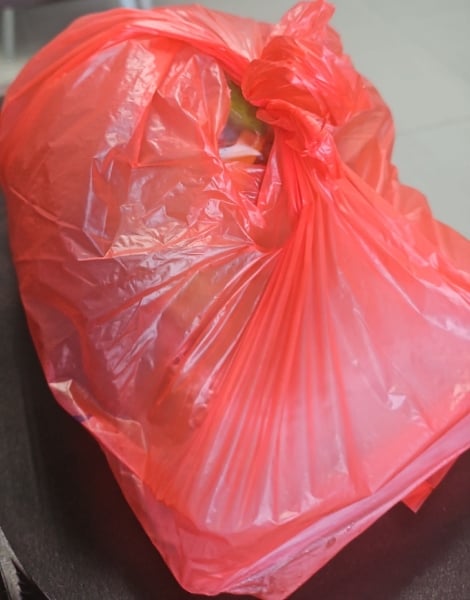 budak kolesterol tinggi